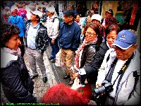 Brussel Walking - nr. 0234